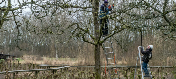 Natuurtuin Zoetermeer: wandeling met gids op 23 februari 2020