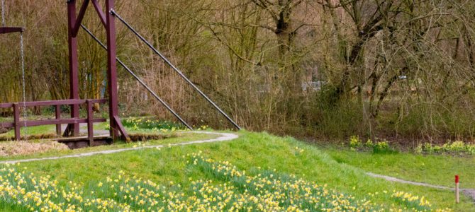 Helaas geen rondwandeling met gids op zondag 22 maart as.